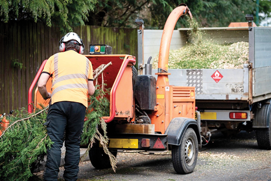 How Circular Utilization of Urban Tree Waste Can Help Mitigate Climate Change