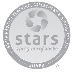 stars-silver.jpg