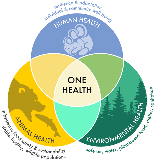 /sustainability/news/articles/2019/one-health.png