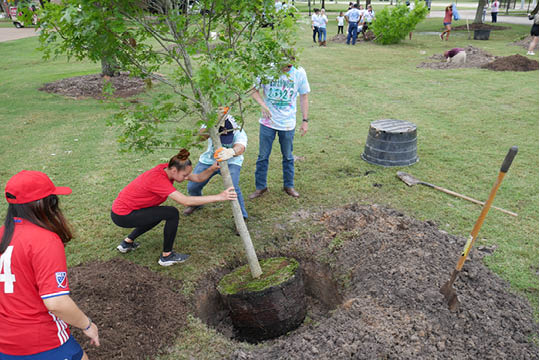 Volunteer Tree Planting