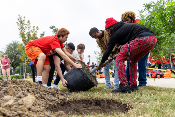 Rock The Campus tree planting event.