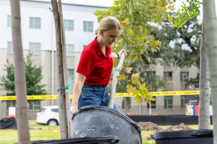 Rock The Campus tree planting event.