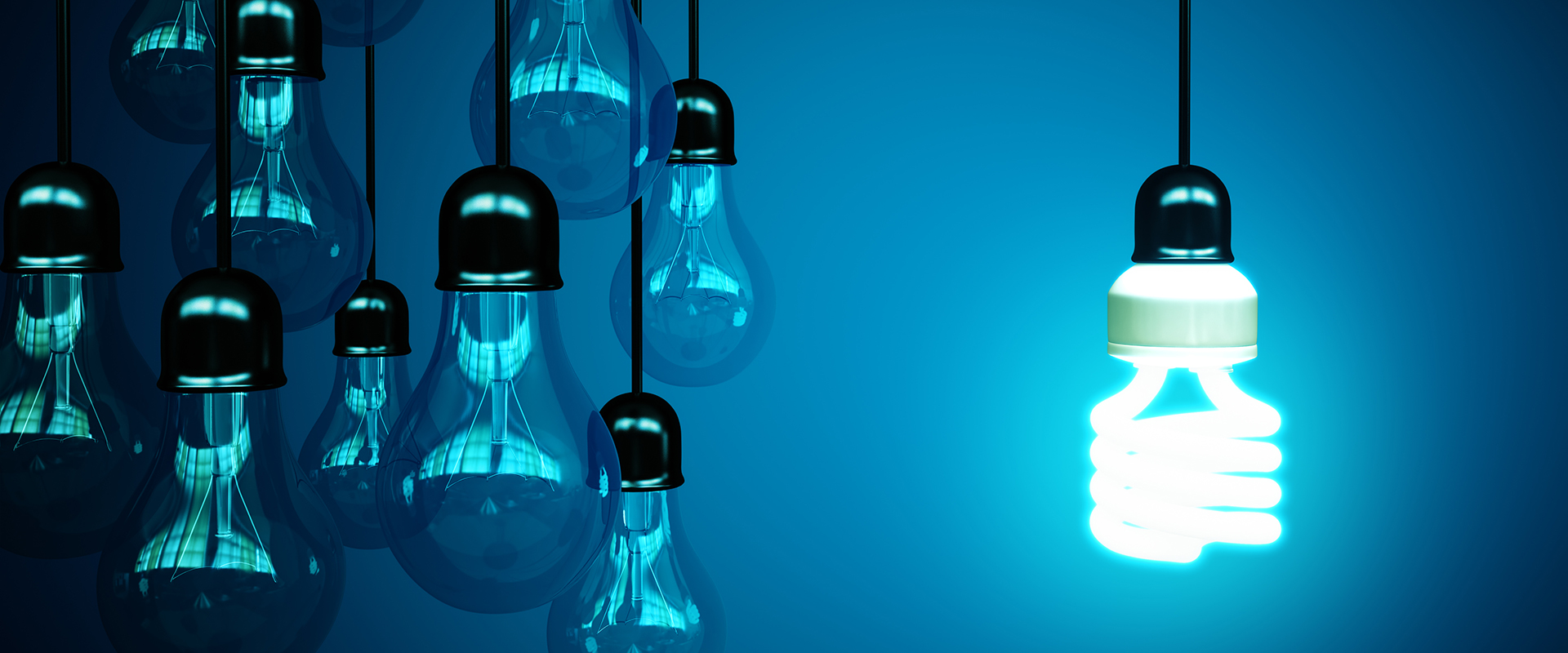 Image of an array of lightbulbs turned off while an energy efficient bulb is turned on