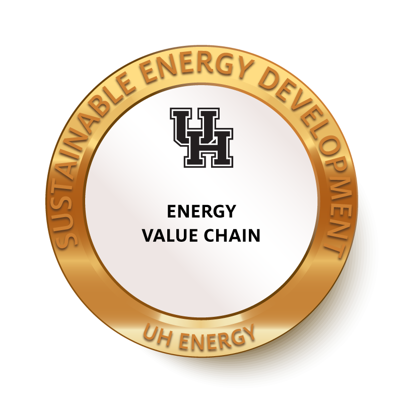 SED bronze energy value chain badge