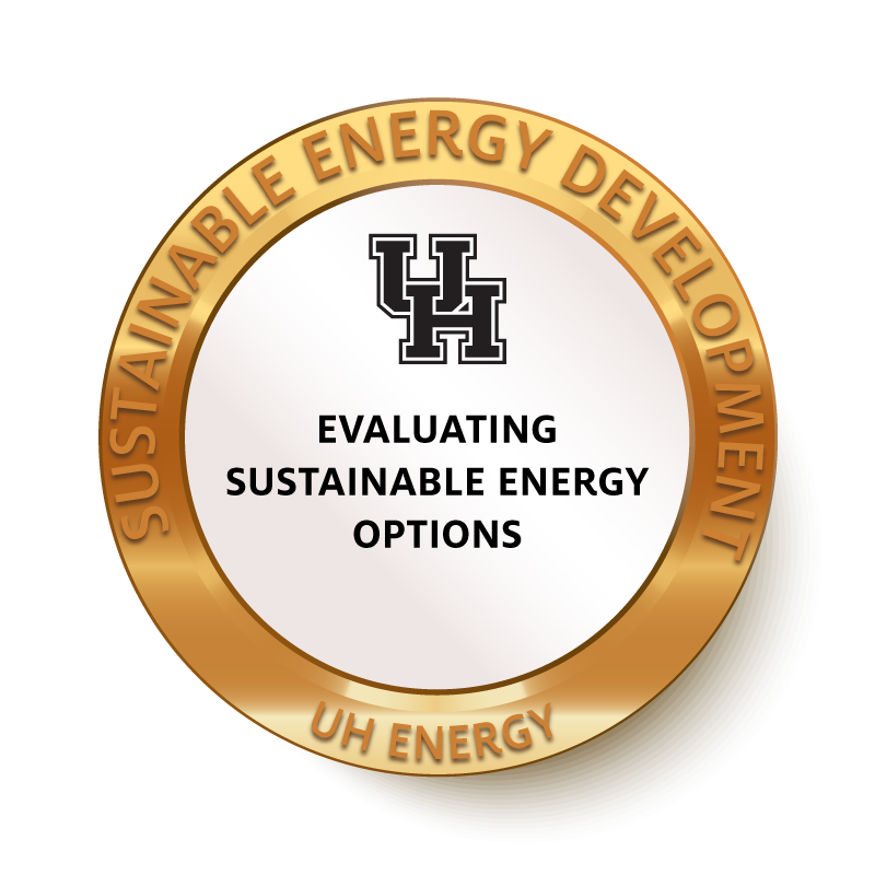 SED bronze evaluating options badge
