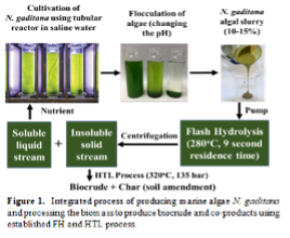 integration process image