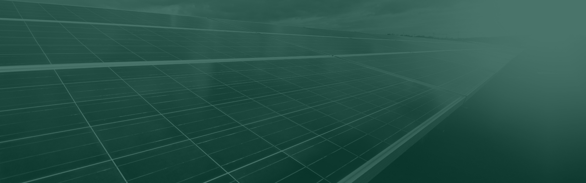 Investing in the Energy Transition Series Banner Image