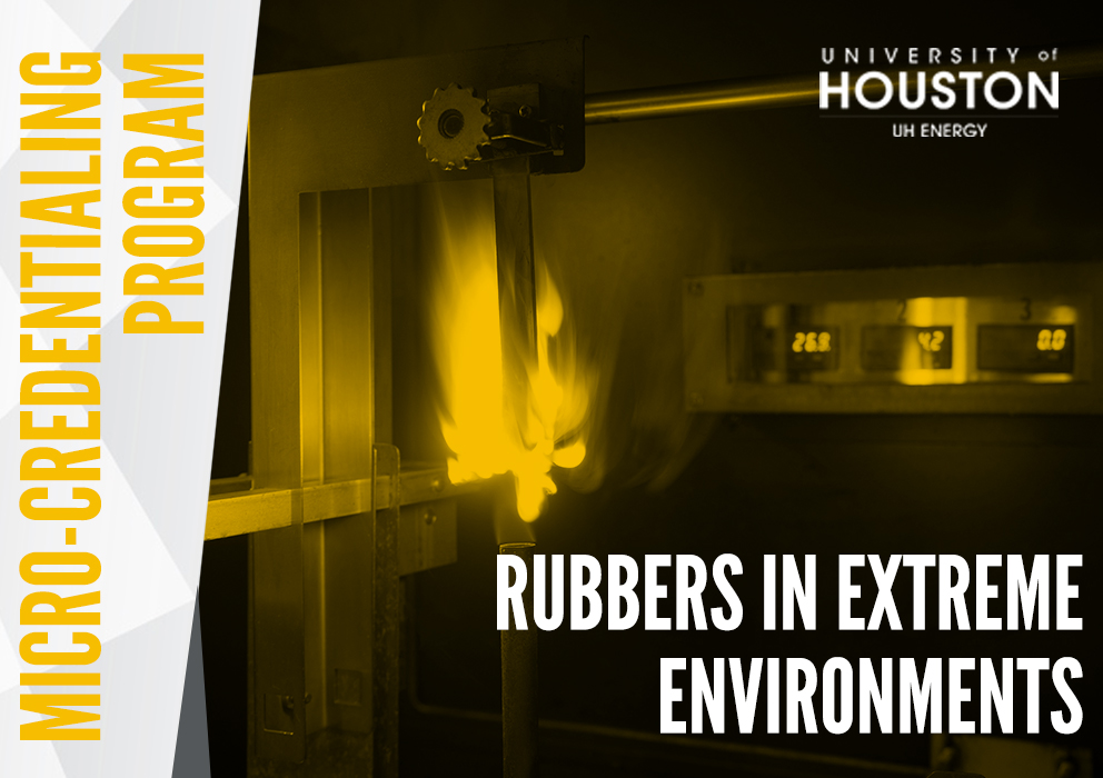 Rubbers in Extreme Environment Program banner image