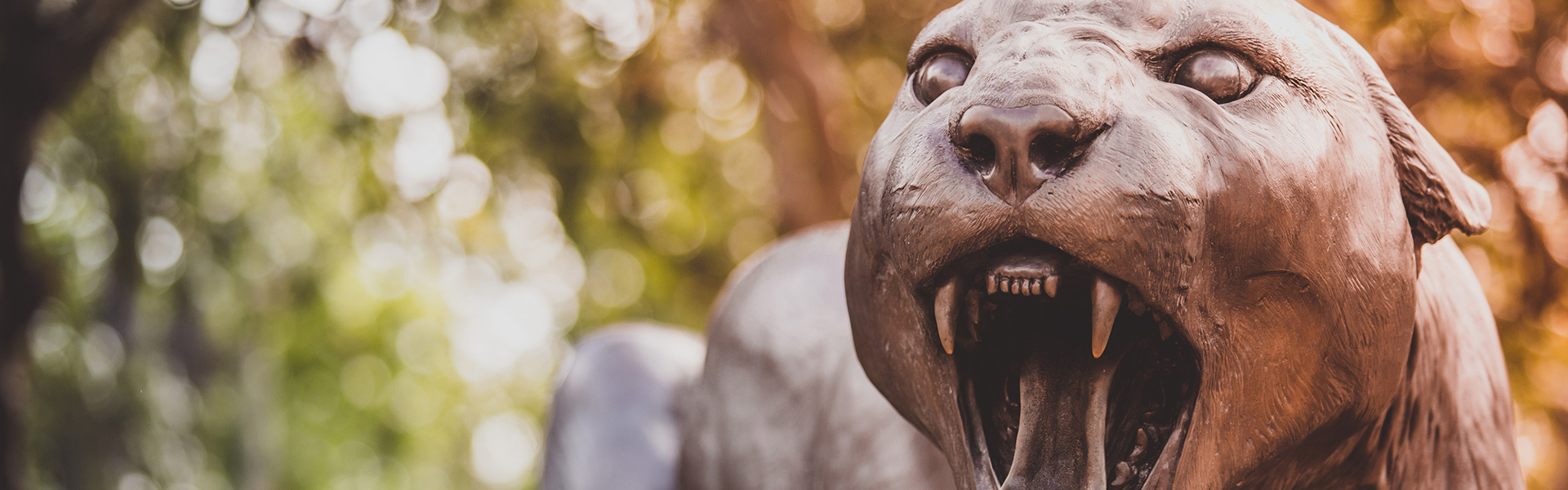 Image of UH Cougar Mascot