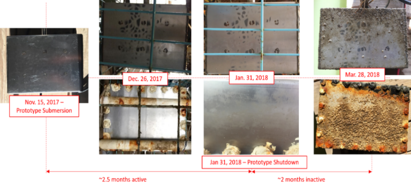 biofouling-2.png