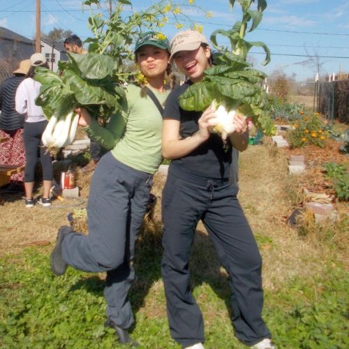 wow day of service