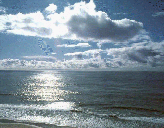 %The Butler Does It%