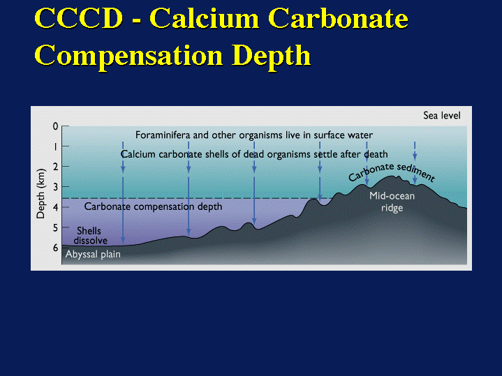 CCCD Calcium Carbonate Compensation Depth